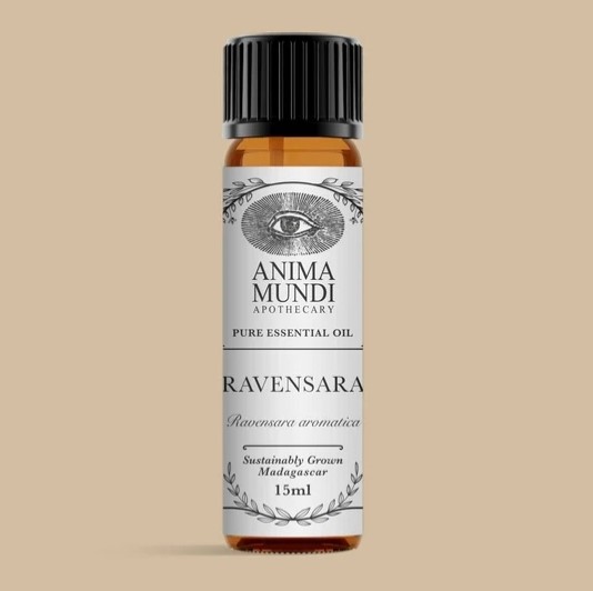 Anima Mundi Ravensara Essential Oil 15ml i gruppen Kroppspleie / DIY Råvarer / Essensielle oljer hos Rawfoodshop Scandinavia AB (AM105)