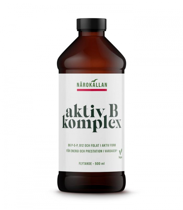 Aktiv B Komplex 500 ml