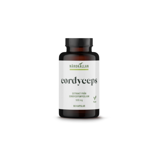 Cordyceps 500mg 90 kapsler