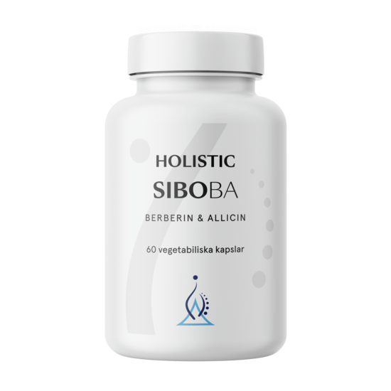Holistic Siboba 60kaps