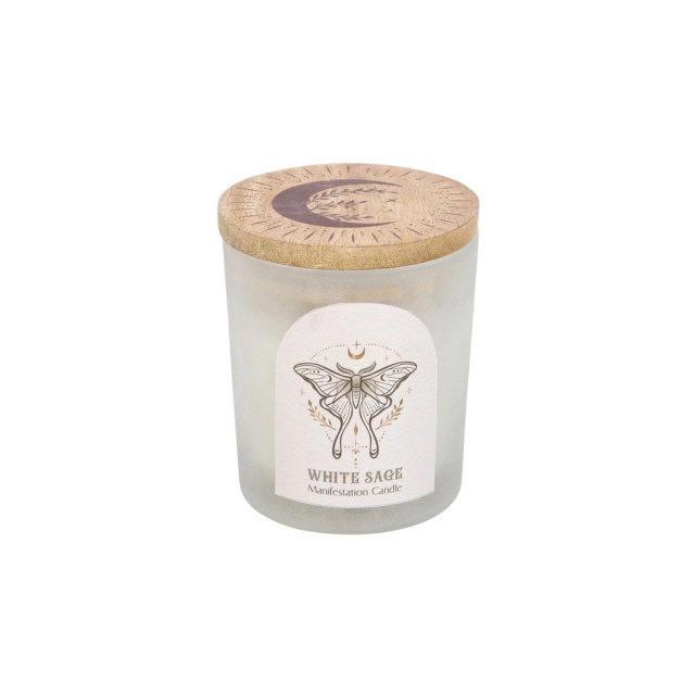 Manifestasjonslys Luna Moth med Klar Kvarts