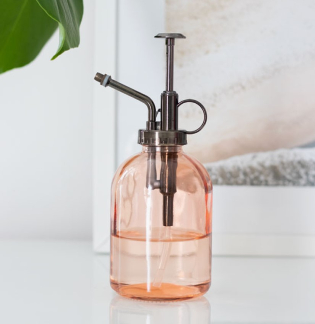 Rosa Minimalistisk Glass Plant Mister