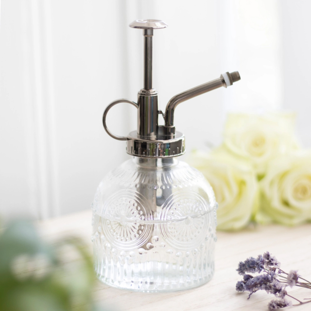 Liten Bladtrykk Glass plante Mister