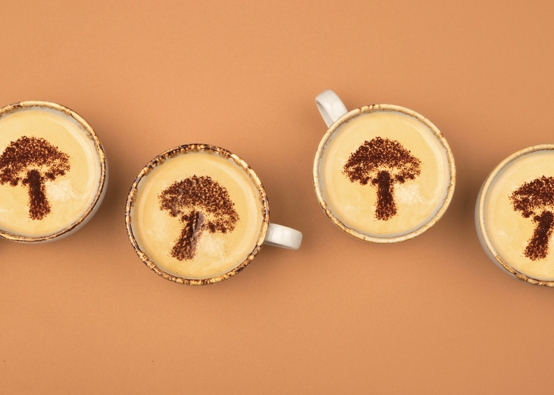 Chaga og soppkaffe - en rolig start på dagen